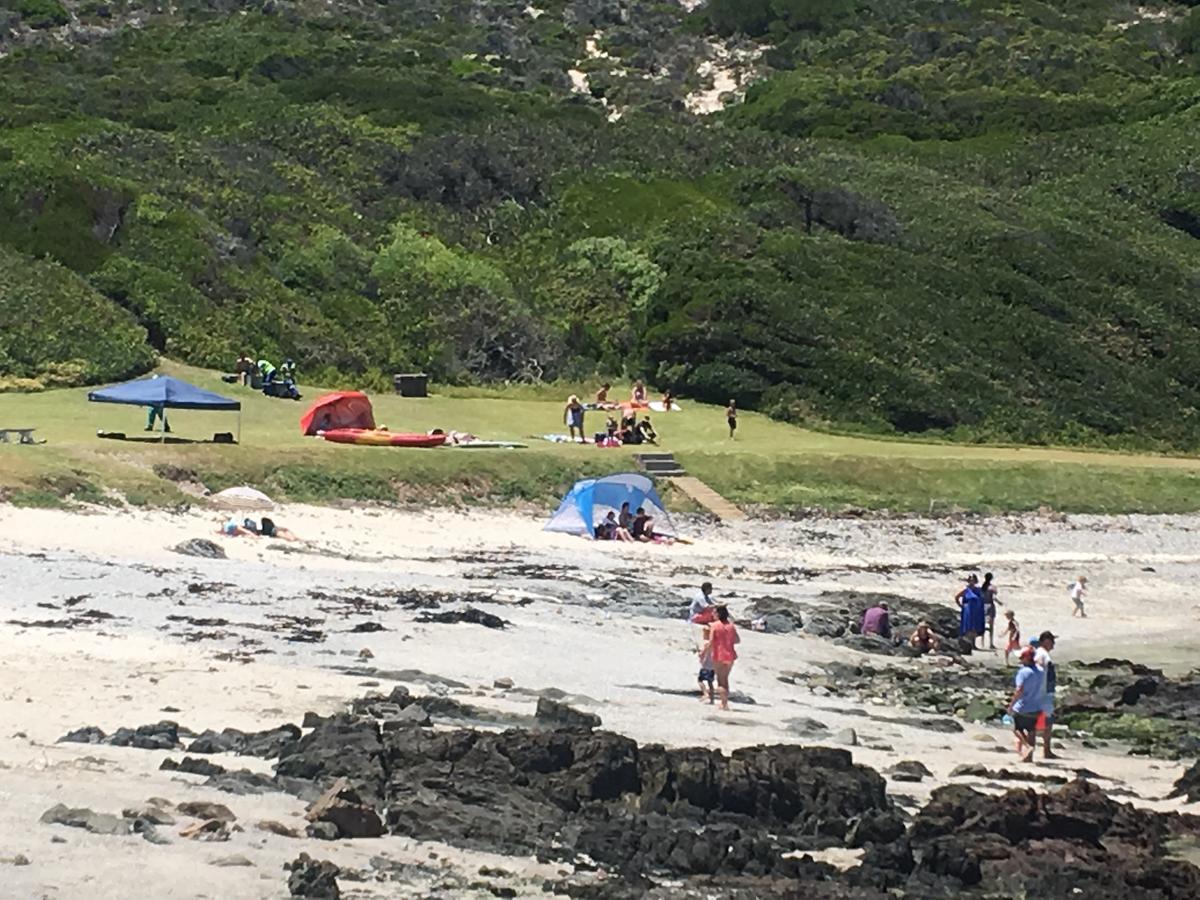 Royal Albatros Leilighet Gansbaai Eksteriør bilde
