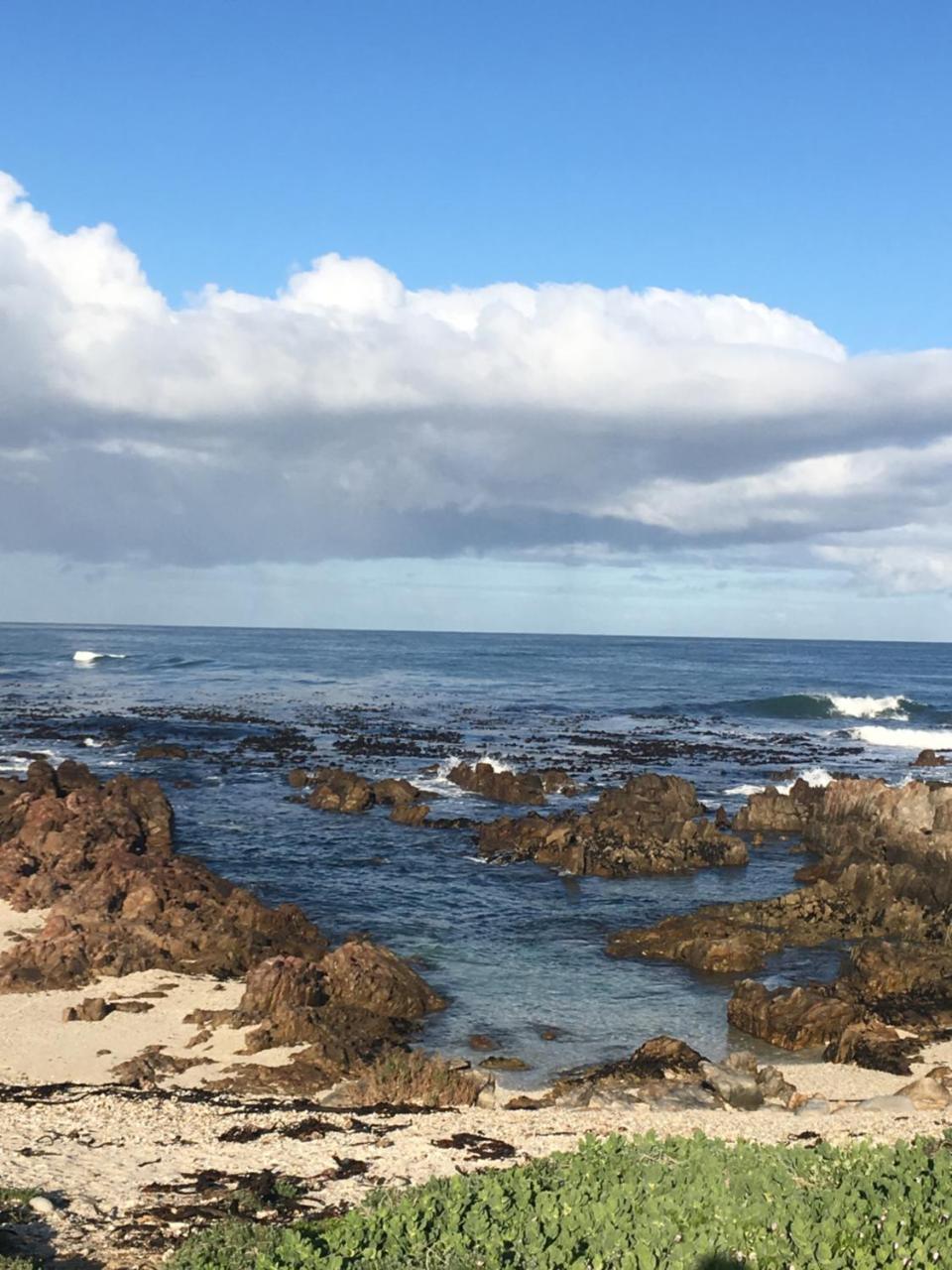 Royal Albatros Leilighet Gansbaai Eksteriør bilde