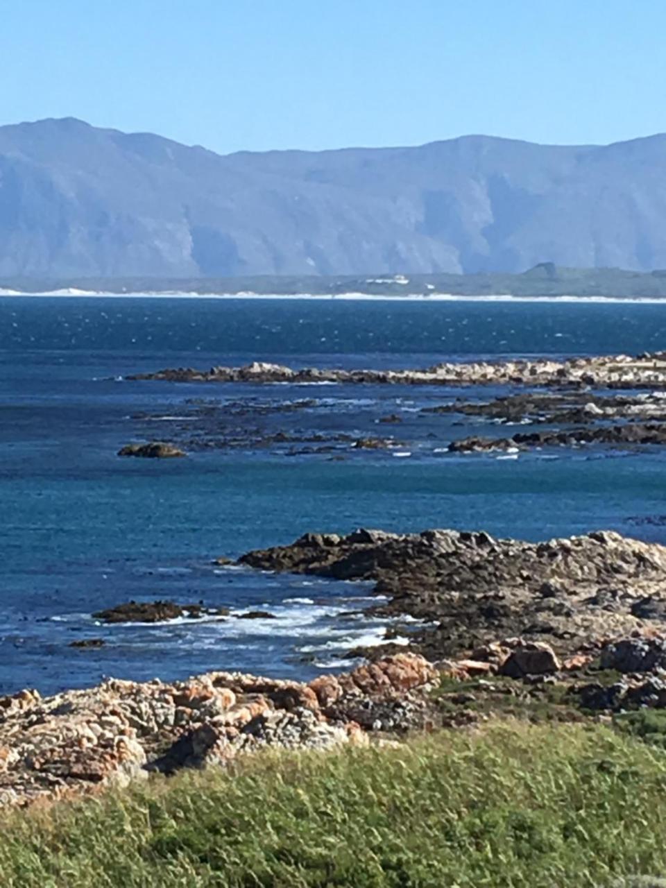 Royal Albatros Leilighet Gansbaai Eksteriør bilde
