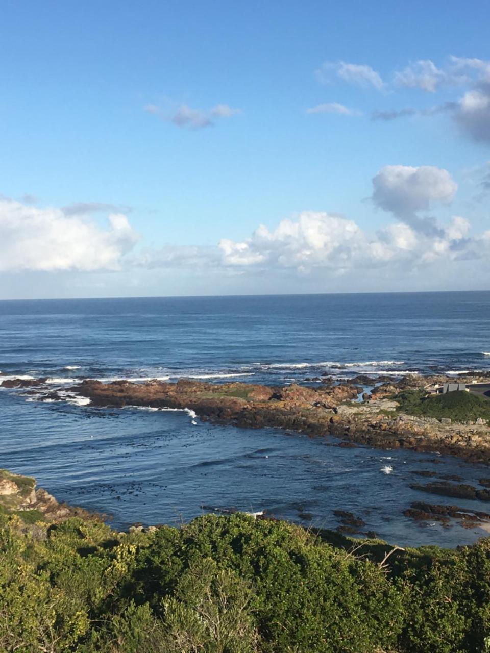 Royal Albatros Leilighet Gansbaai Eksteriør bilde